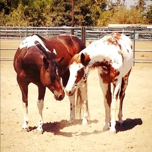 Meet your Posher, Marcy